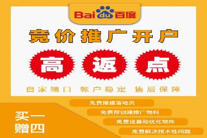 百度广告推广的投放策略与市场分析